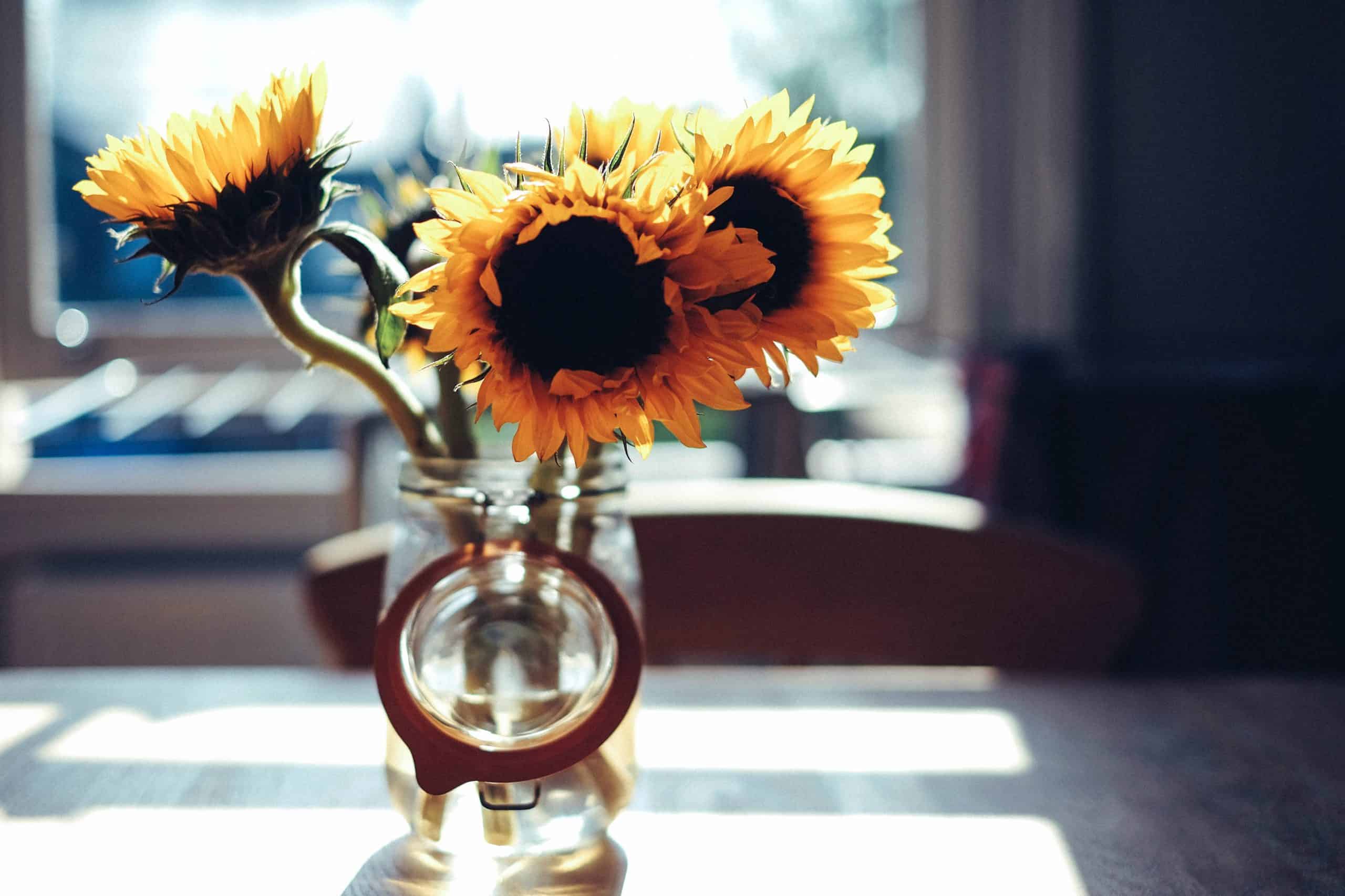 What Is a Good Solar Heat Gain Coefficient (SHCG) Rating and U-Factor for Windows in Sunny Sacramento?