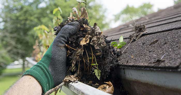 Clean your gutters to Prevent Bugs Coming Through Air Conditioner Vents