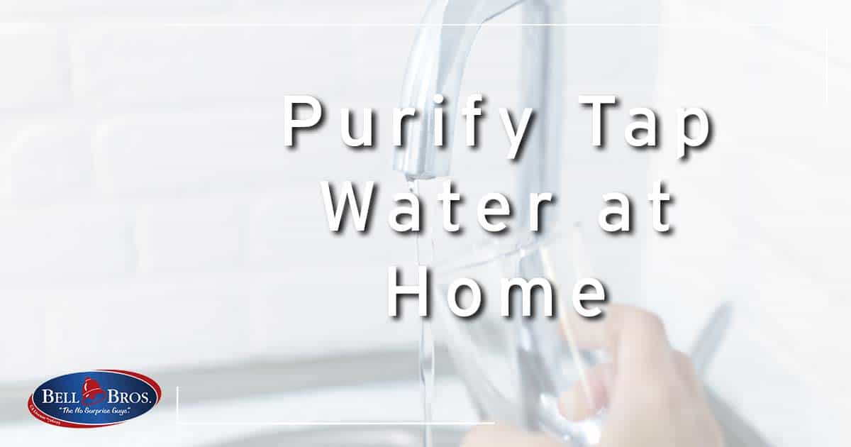 Purify Tap Water at Home