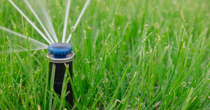 Damaged sprinklers can also be a reason for lush, green grass.